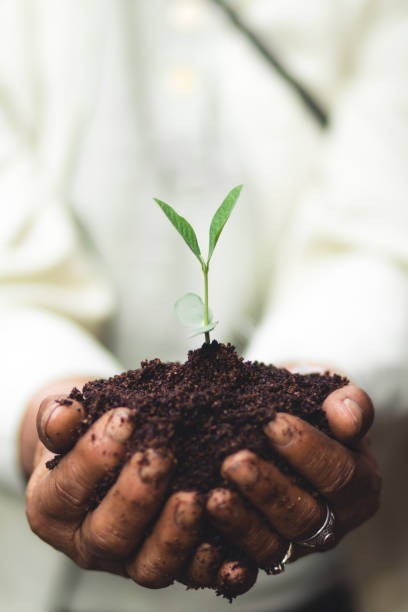 Conseil environnemental